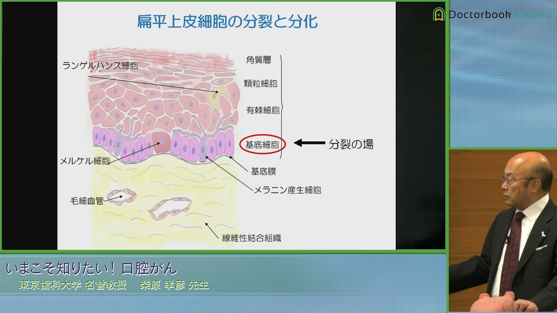  臨床知見録_口腔がん_ターンオーバー