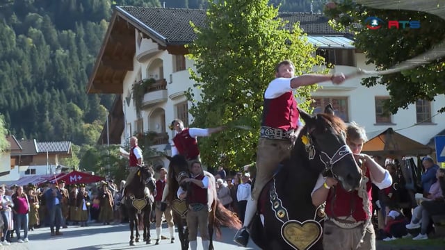 oldtimer-und-geschmueckte-kuehe-beim-hollersbacher-bauernmarkt