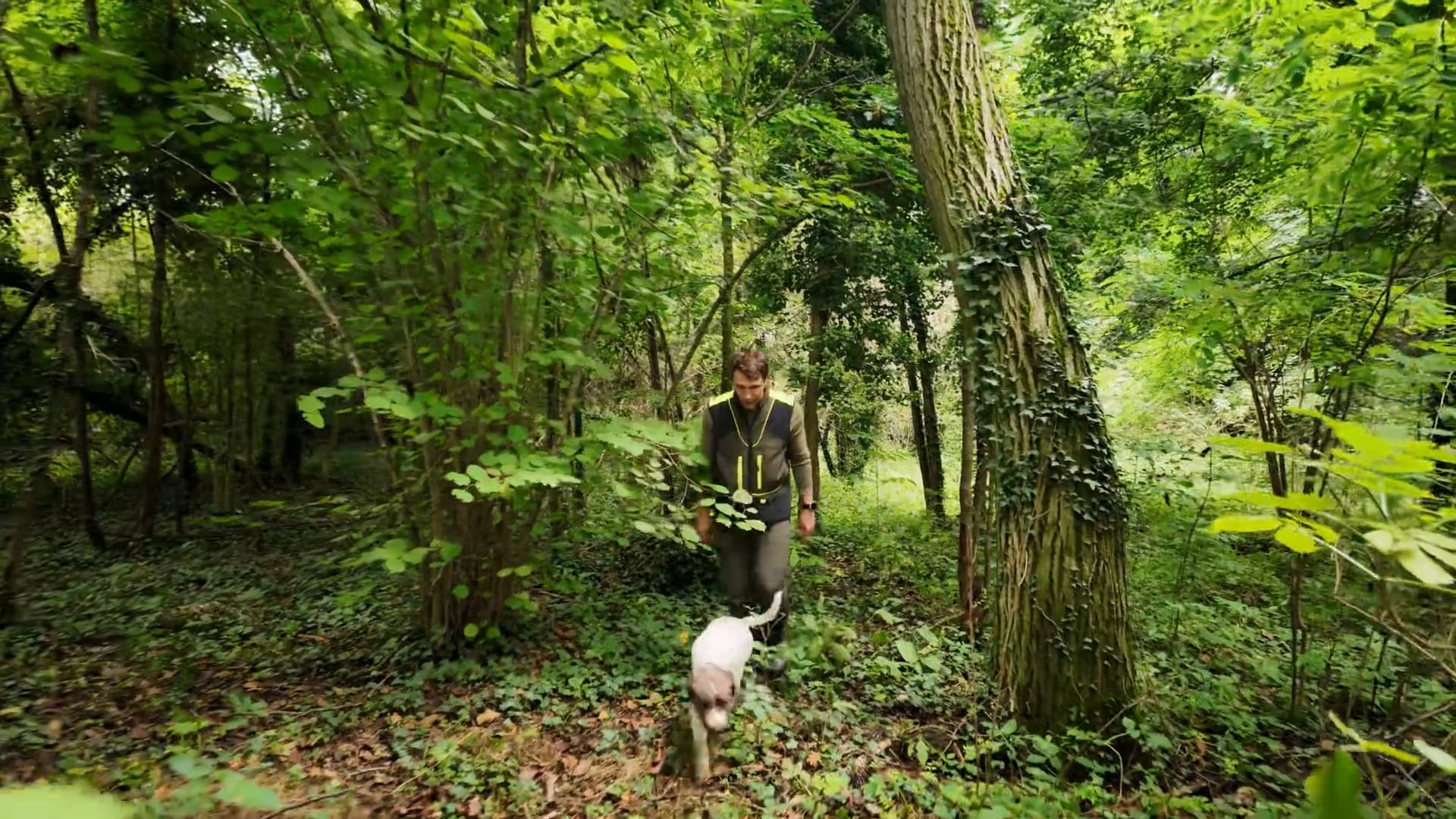 Authentic Truffle Hunting Experience