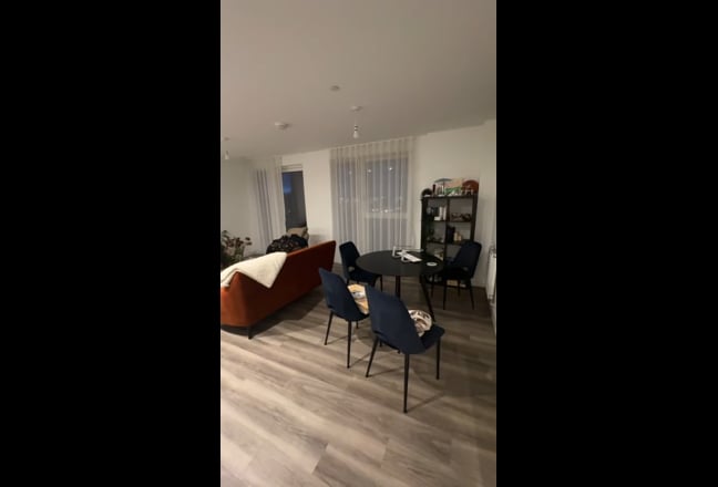 Video 1: