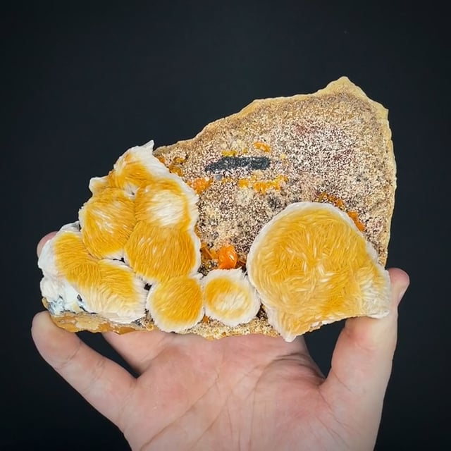 Baryte with  Wulfenite