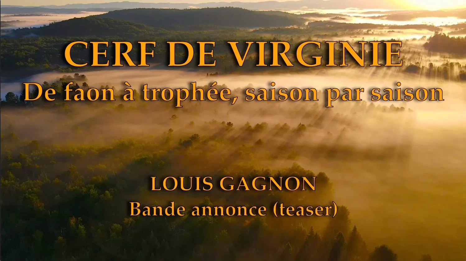 teaser pour La Nature, Produit; Le Cerf de Virginie, 251.4 MB, image size:1498x841