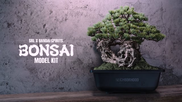 neighborhood_official