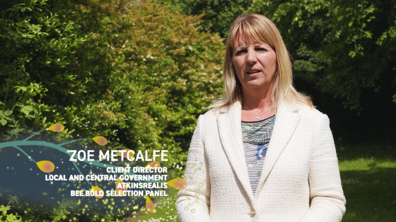 BEE BOLD AIRBUS 091024