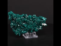 11846 - Dioptase