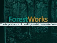 Social connectedness