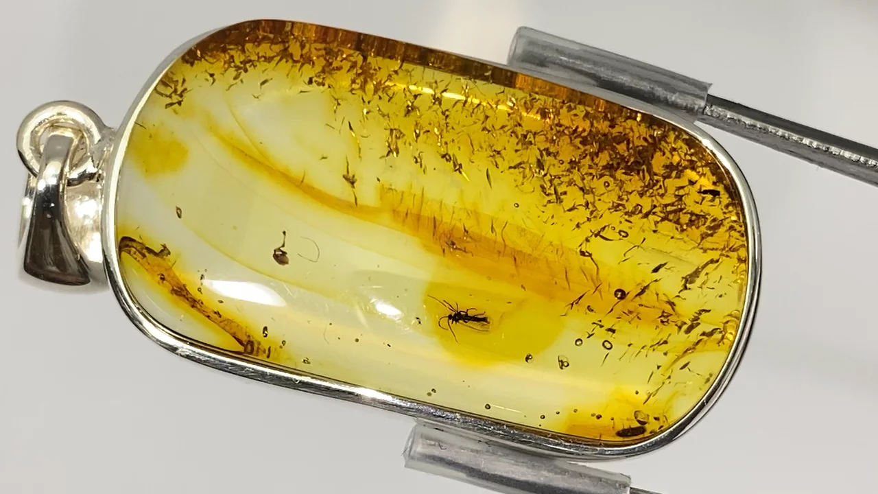 動画】【1点もの】虫入りバルティックアンバー(琥珀) ペンダントトップ