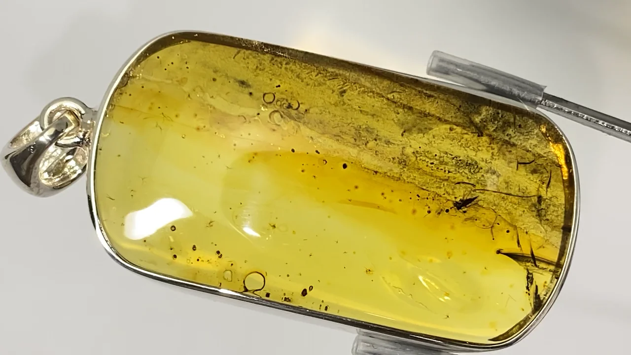 動画】【1点もの】虫入りバルティックアンバー(琥珀) ペンダントトップ