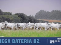 Bateria 02 MEGA LOTES