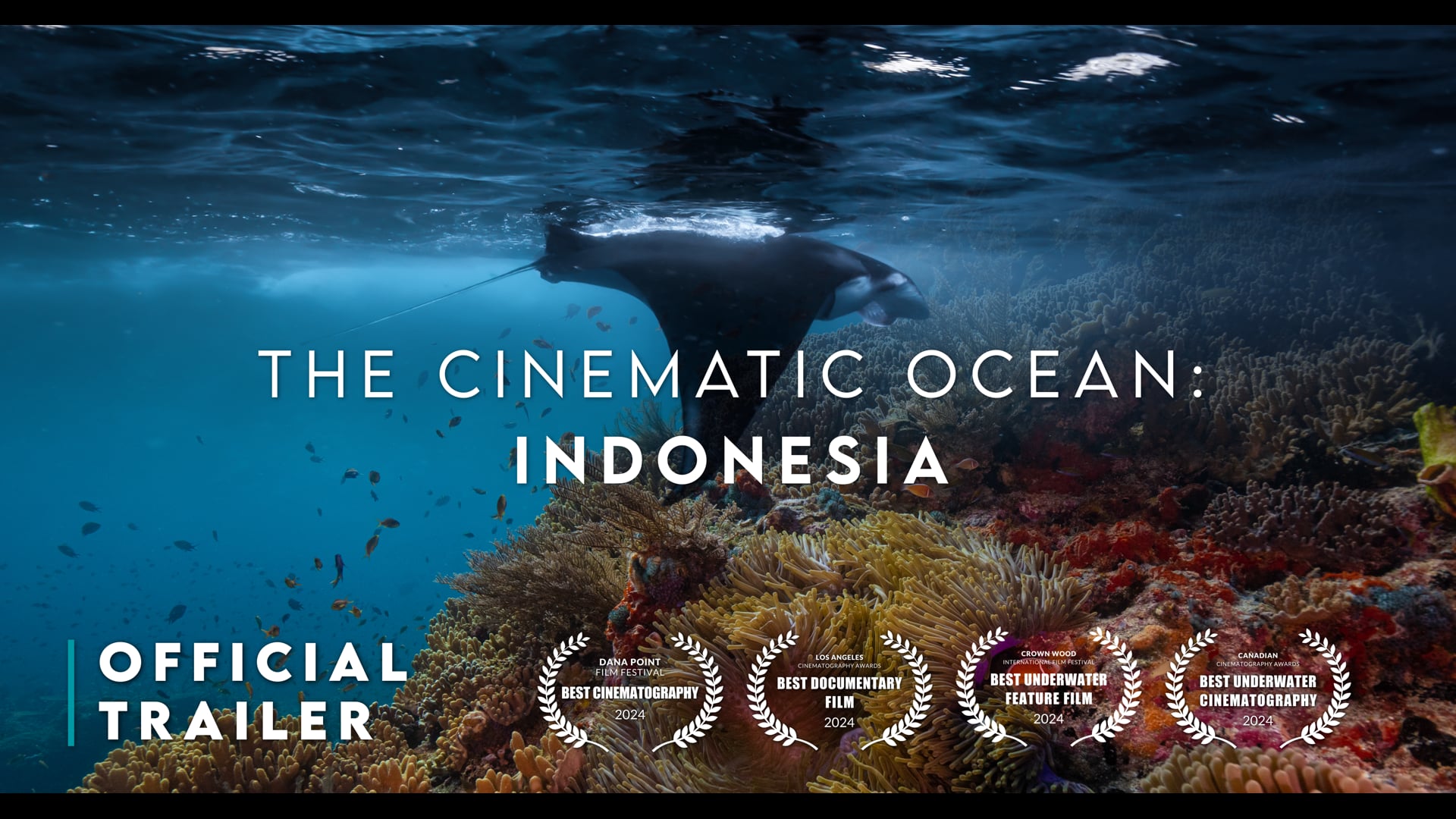 The Cinematic Ocean: Indonesia - Official Trailer