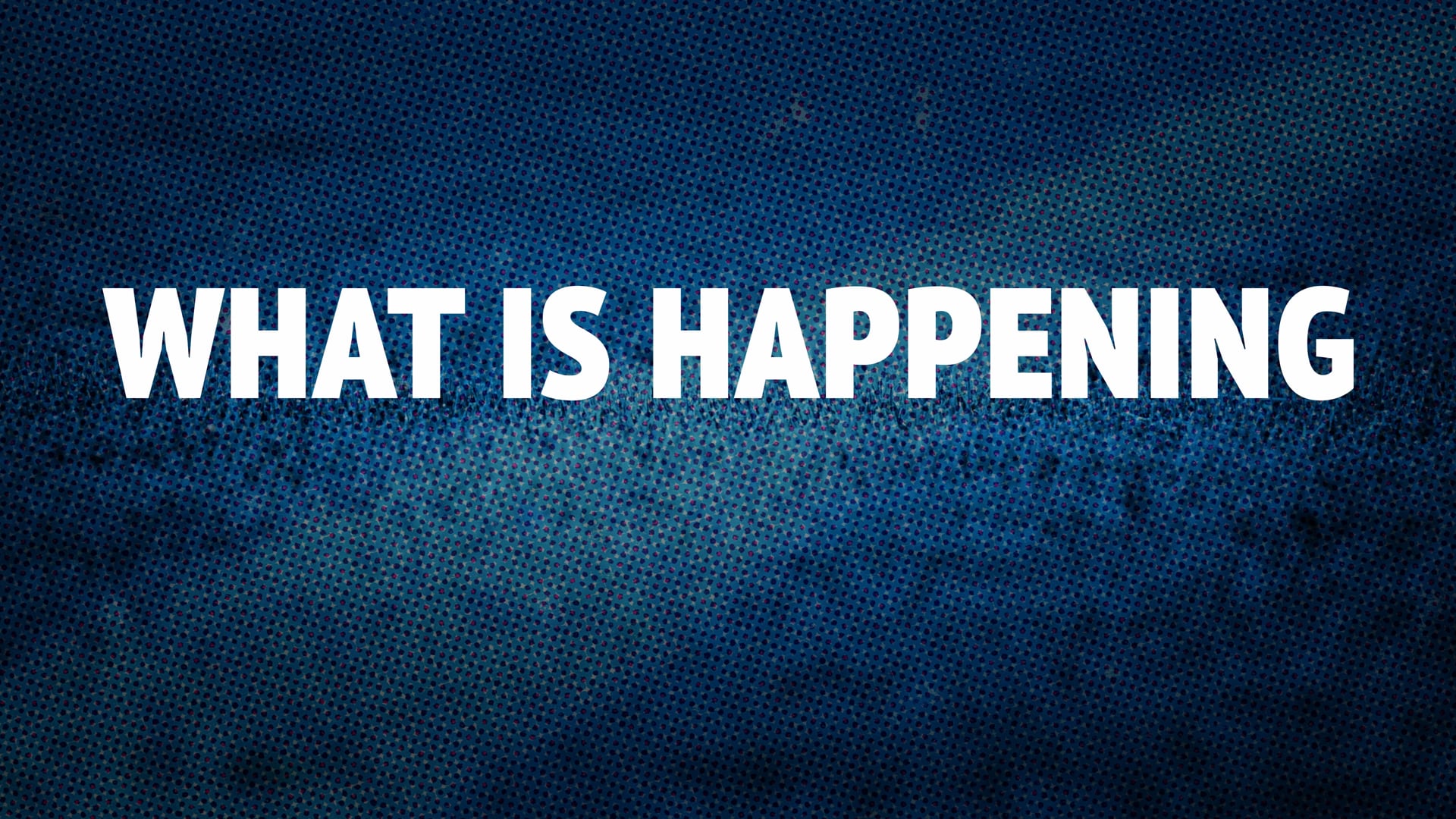 LINT BROTHER STABLES FINAL