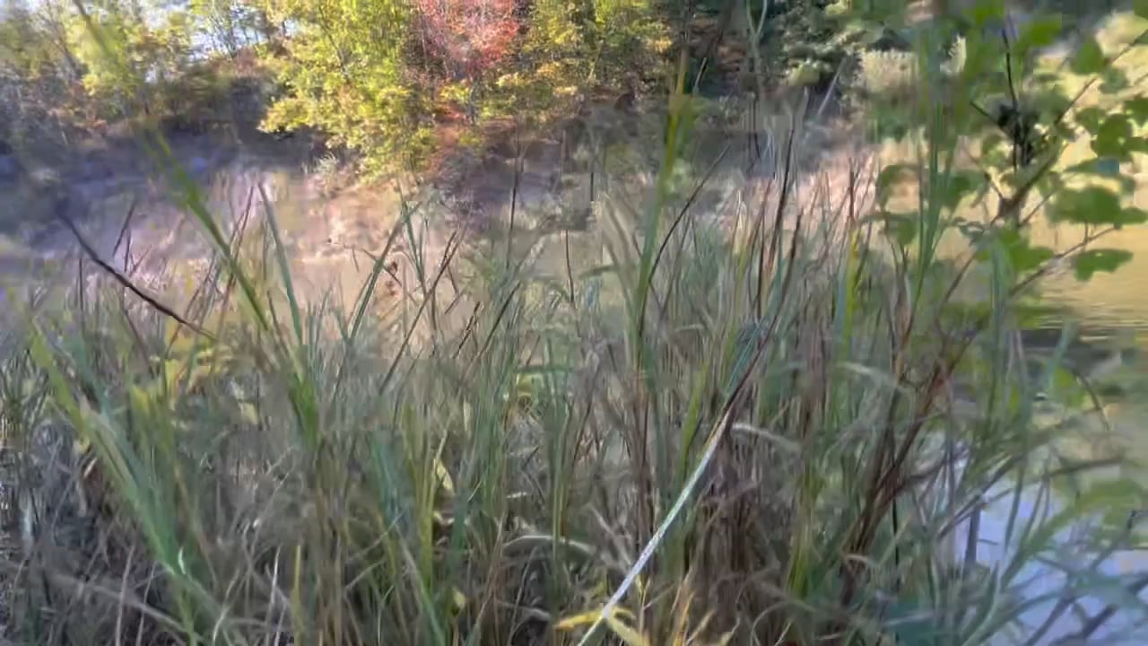 https://i.vimeocdn.com/video/1937104438-6c1e898e01c837c649cbdd7c18abfa8efd25b2380d4ed506161a4cafc273c681-d