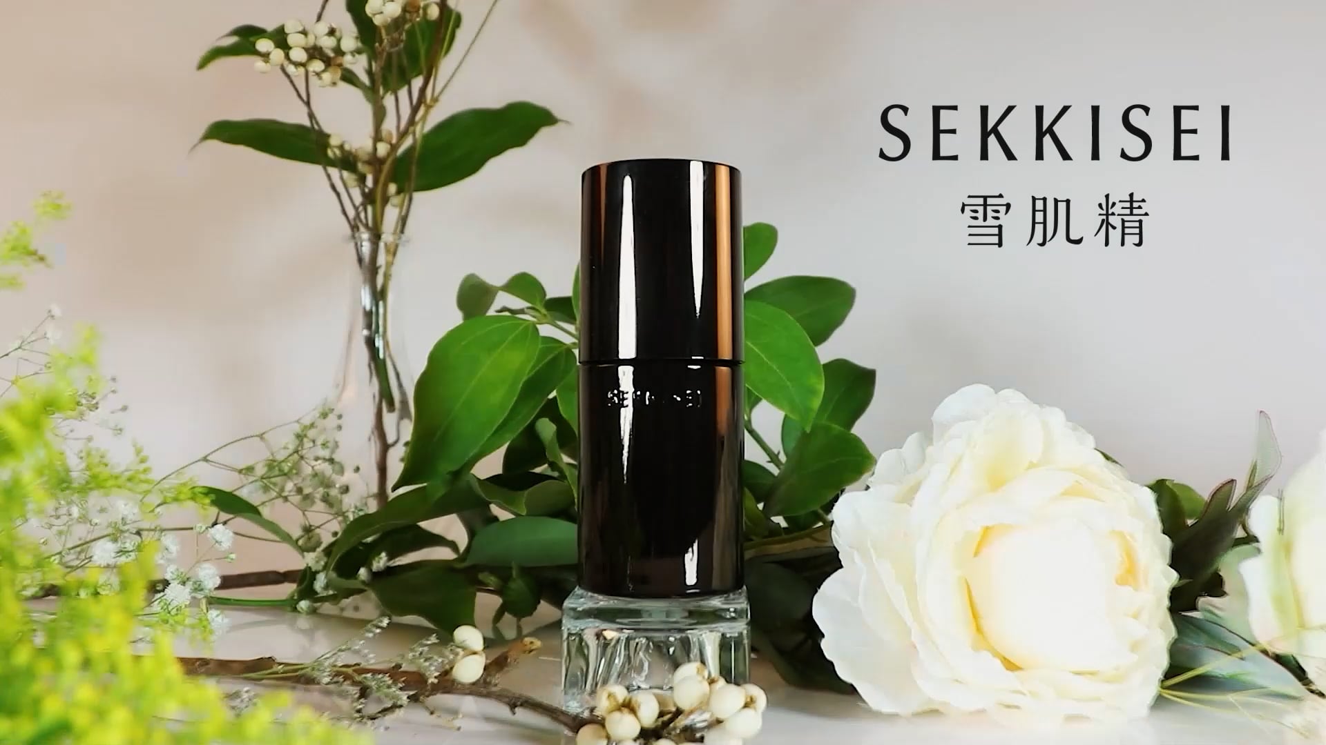 E-Commerce AD (for Sekkisei TW)