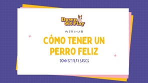 Webinar - Cómo tener un perro feliz