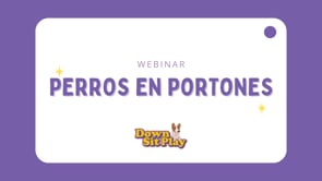 Webinar - Perros en Portones