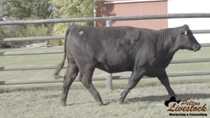 JOB Danell Shady 38L