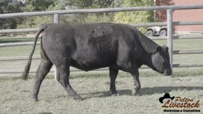 JOB Danell Bloom 05L