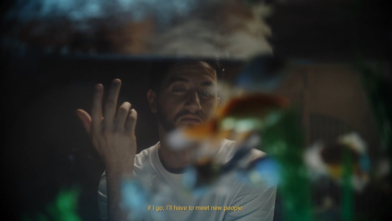 SCHWEPPES | MALEK