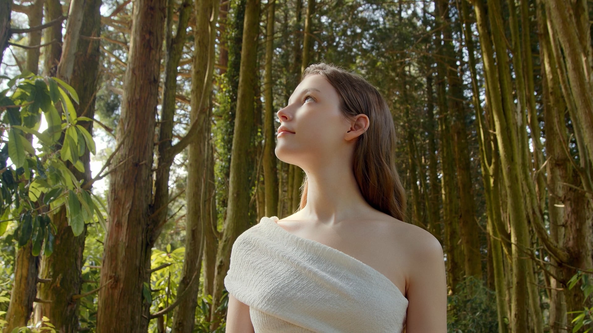 SKIN1004 TEA-TRICA Line - HIGHLIGHT Film