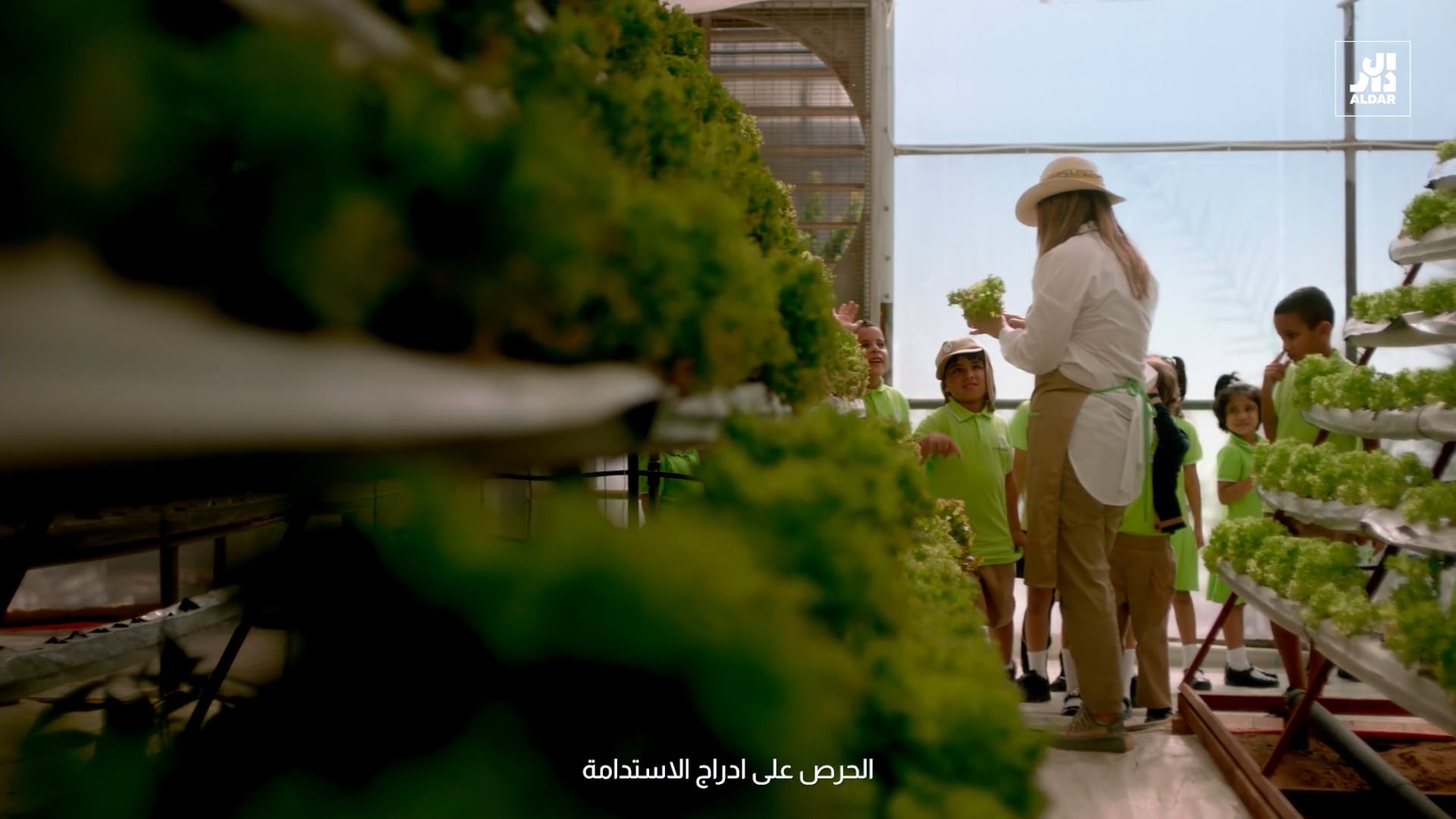Aldar InFocus Season 2 - Dave Taylor