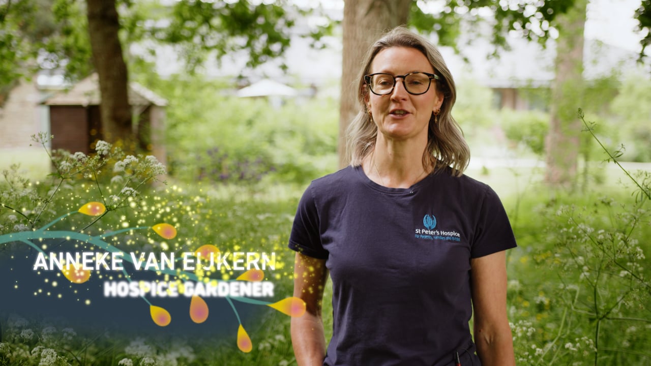 Bee Bold 2024_ST PETERS_141024