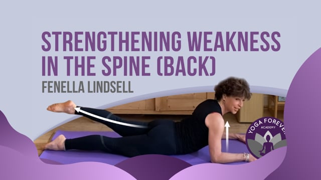 Strengthening Weakness in the Spine (Back)