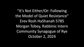 "It's Not Either/Or: Following the Model of Quiet Resistance"