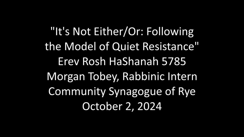 It’s Not Either/Or: Following the Model of Quiet Resistance