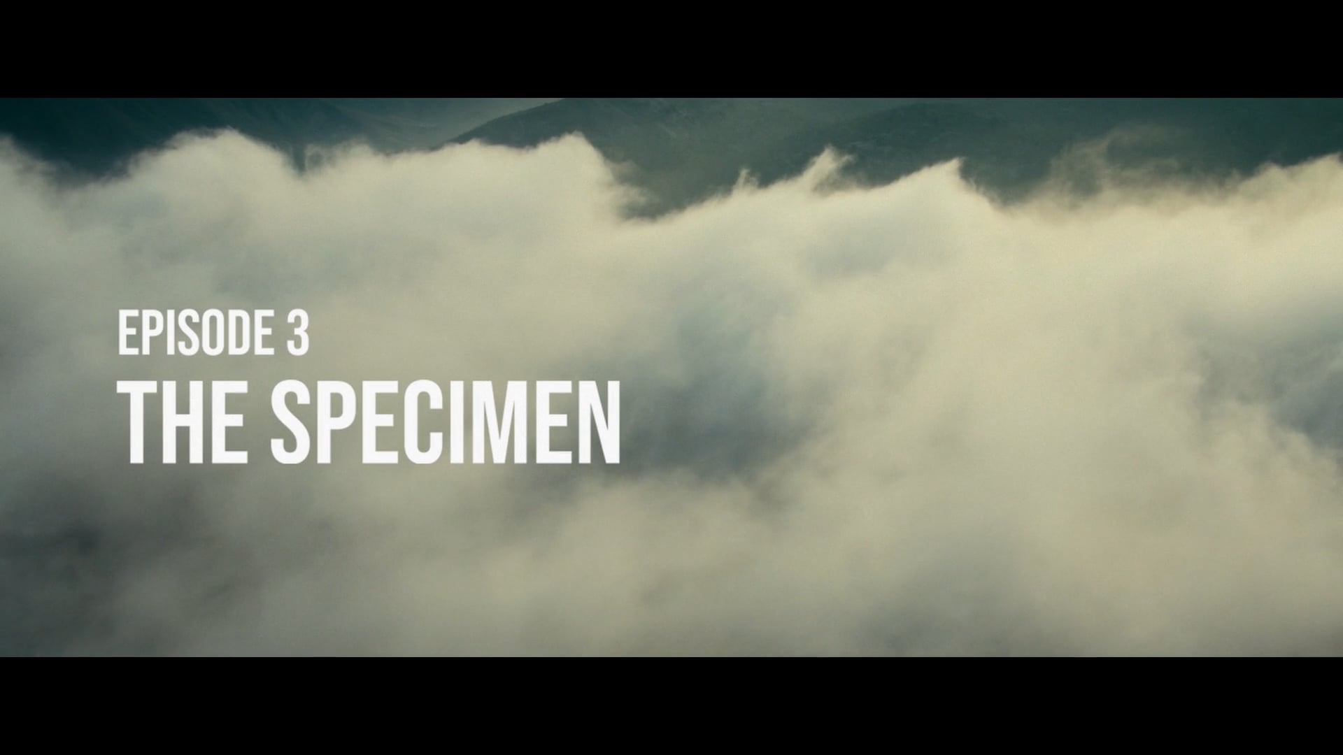 Shatter Belt EP.3 - The Specimen