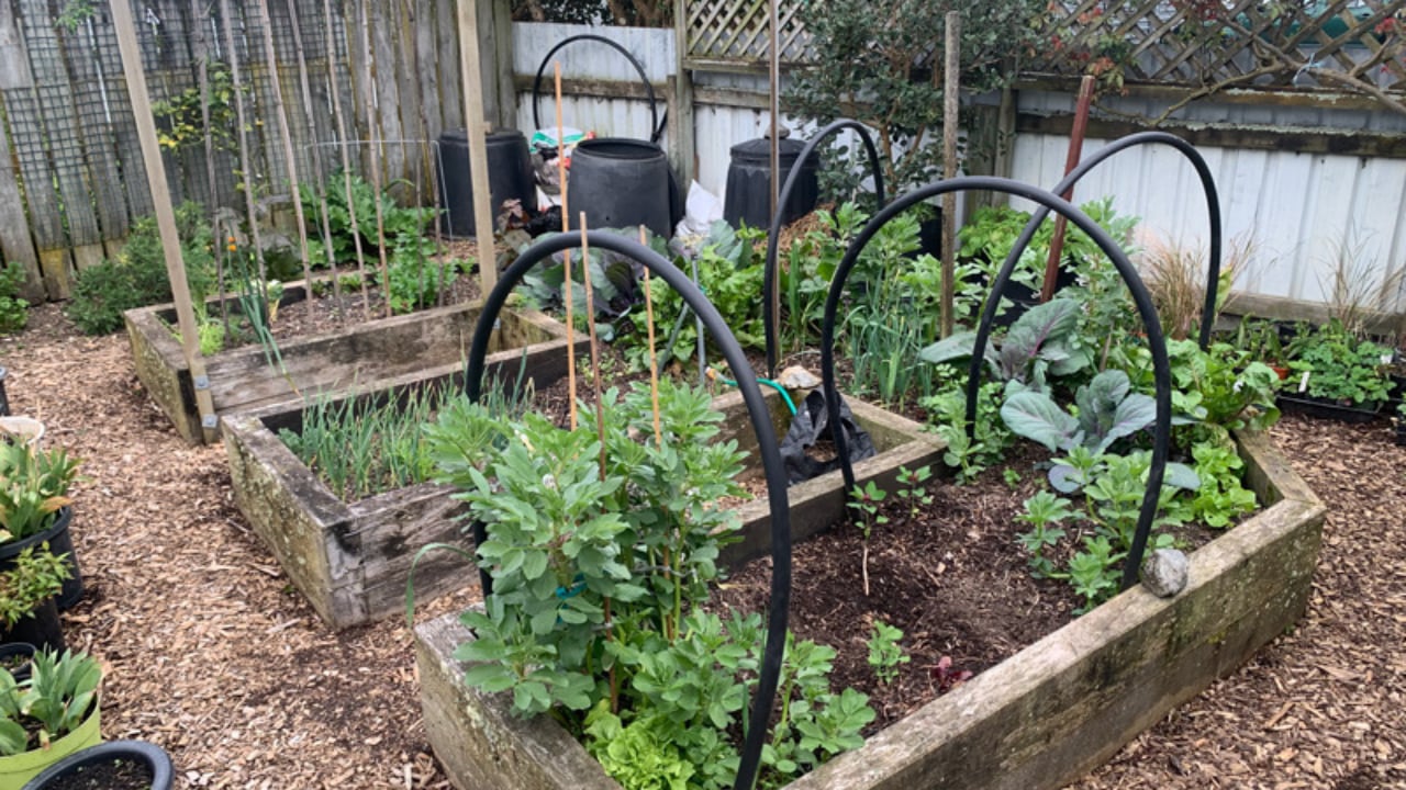 Something Beautiful for the World