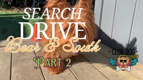 Search Drive, Bear & South - Part 2