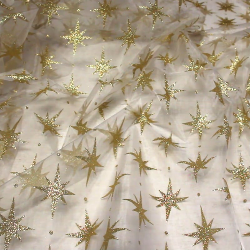 Vidéo: Organza imprimé Noël - Rose des vents