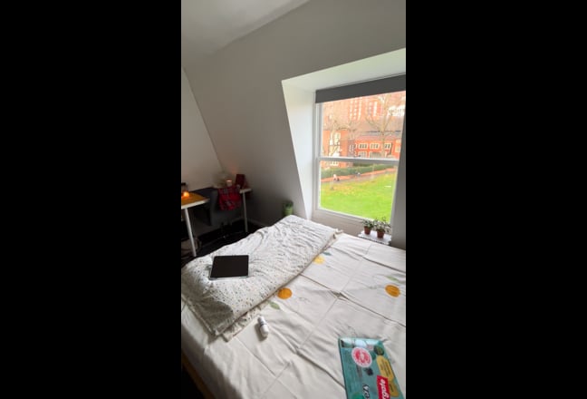 Lovely room to rent in Vauxhall Main Photo