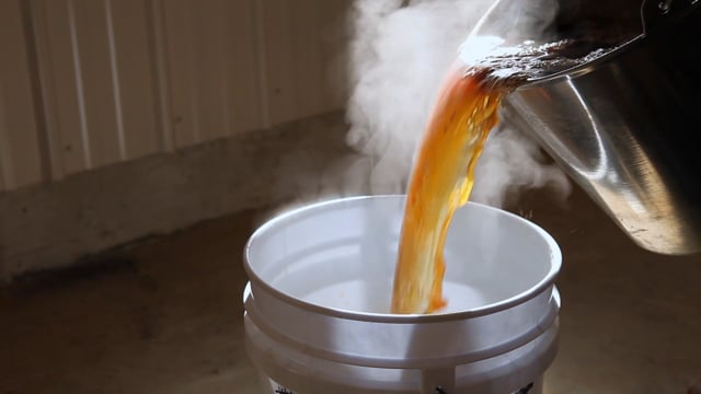 A Quiet Maple Syrup Season