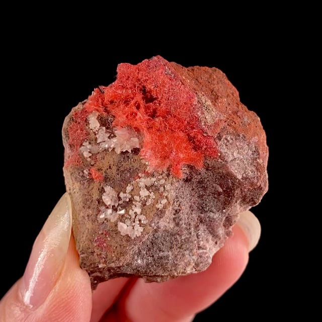 Cuprite var: Chalcotrichite (rare locality specimen) | New Cornelia ...