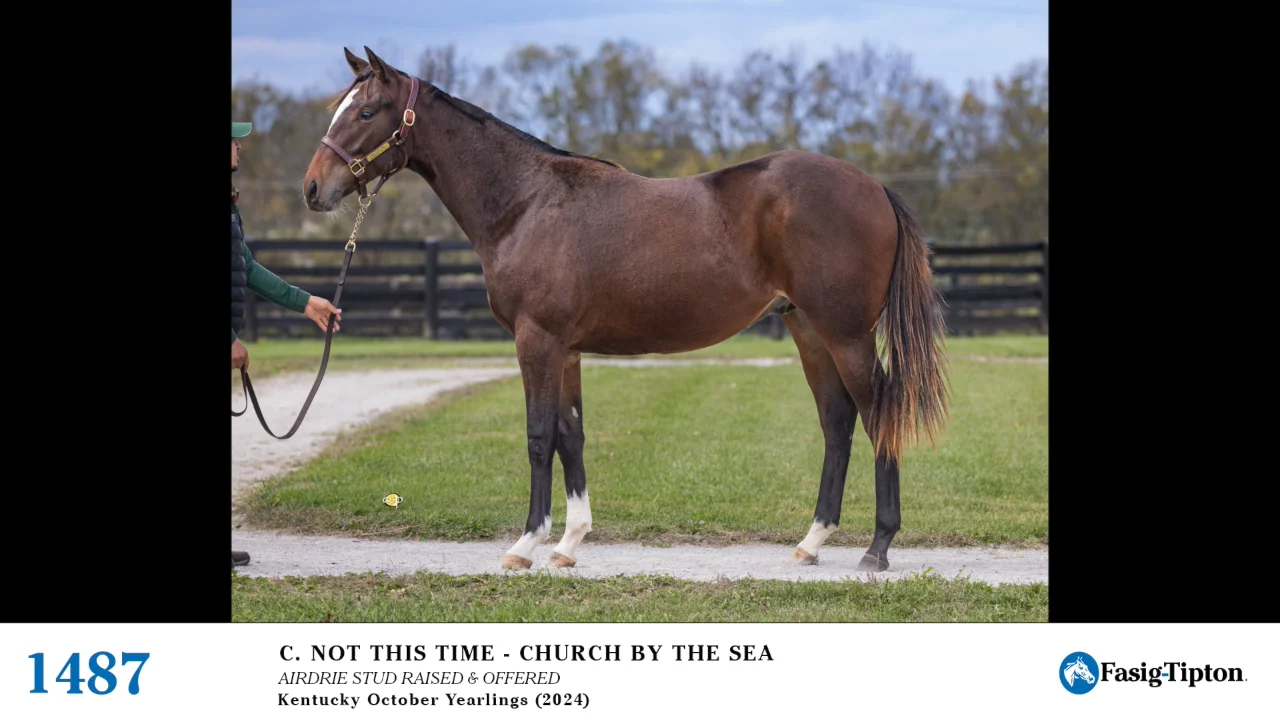 Hip 1487 Not This Time - Church By The Sea