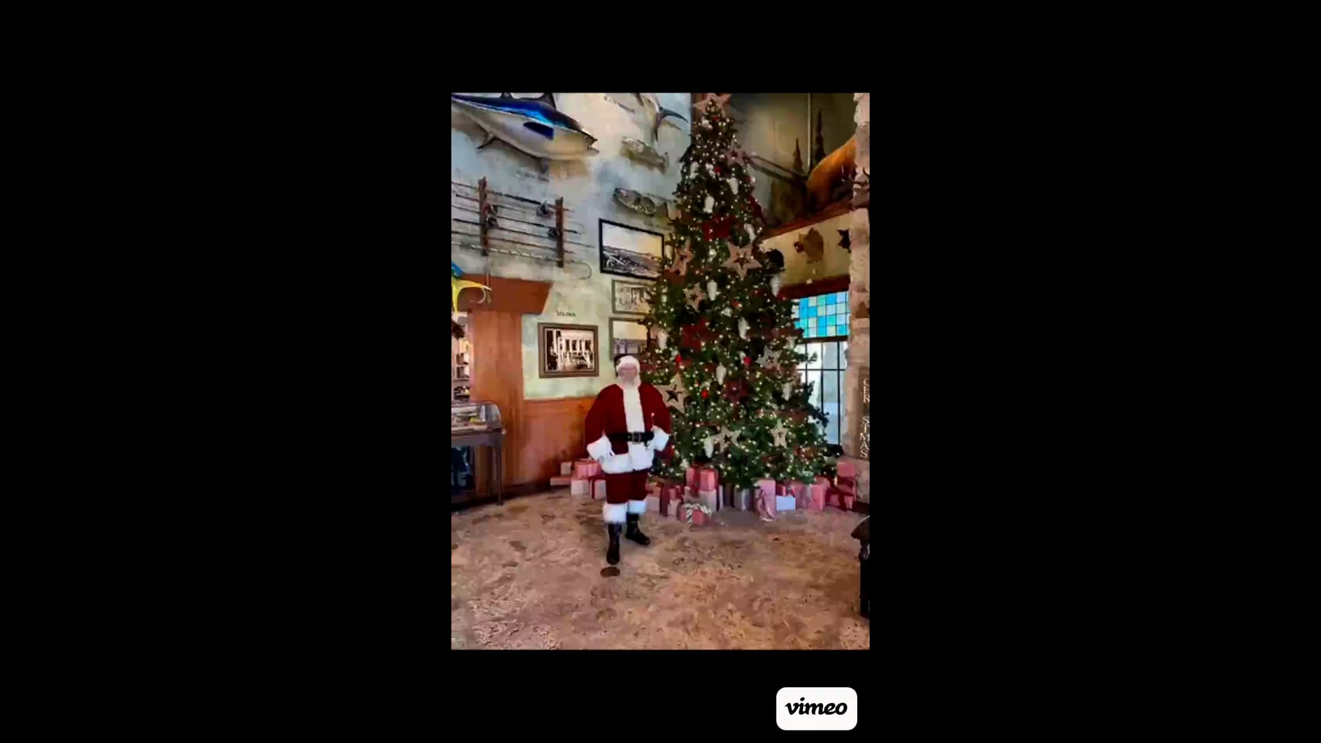 Promotional video thumbnail 2 for Santa Mike