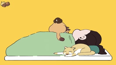 2. 개인 유튜브 영..