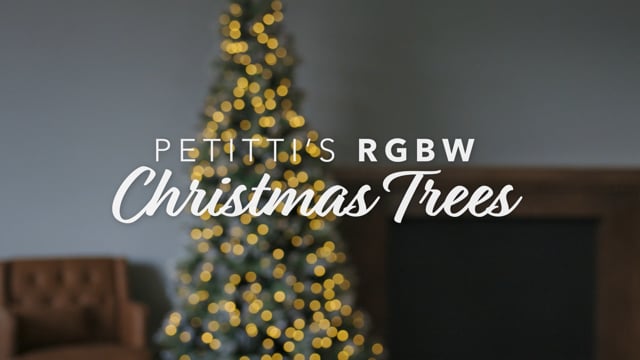 Petitti’s RGBW Christmas Trees