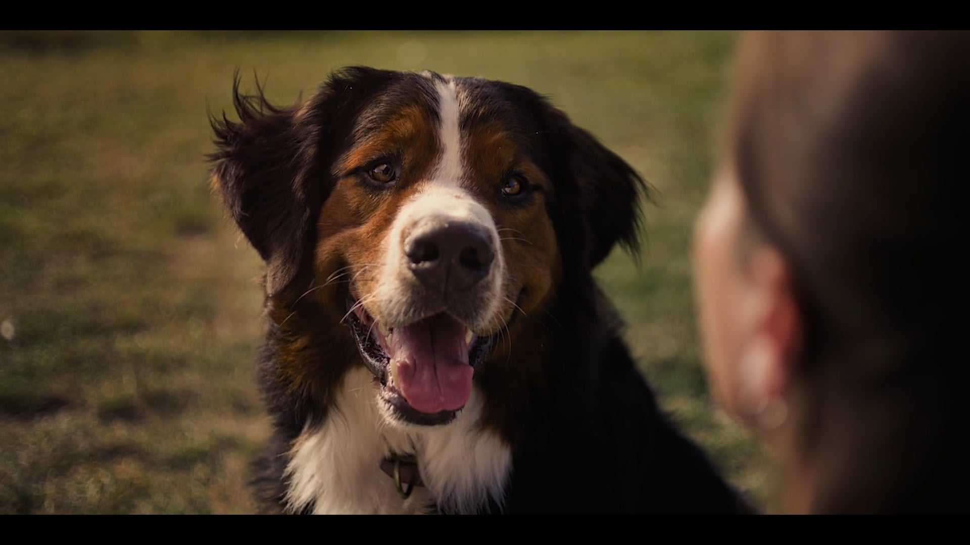 Caledon Farms - Walks