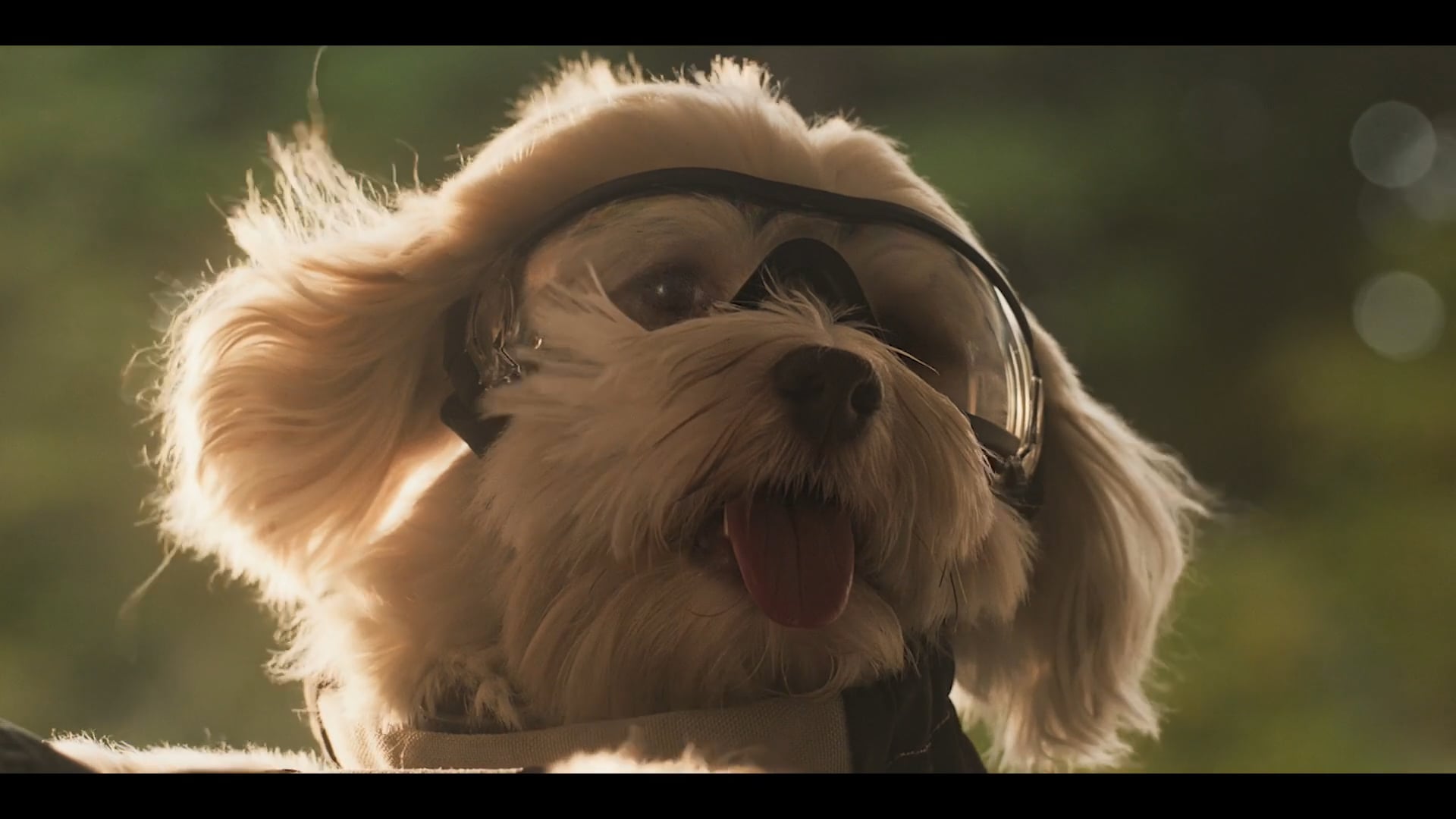 Caledon Farms - The Ride