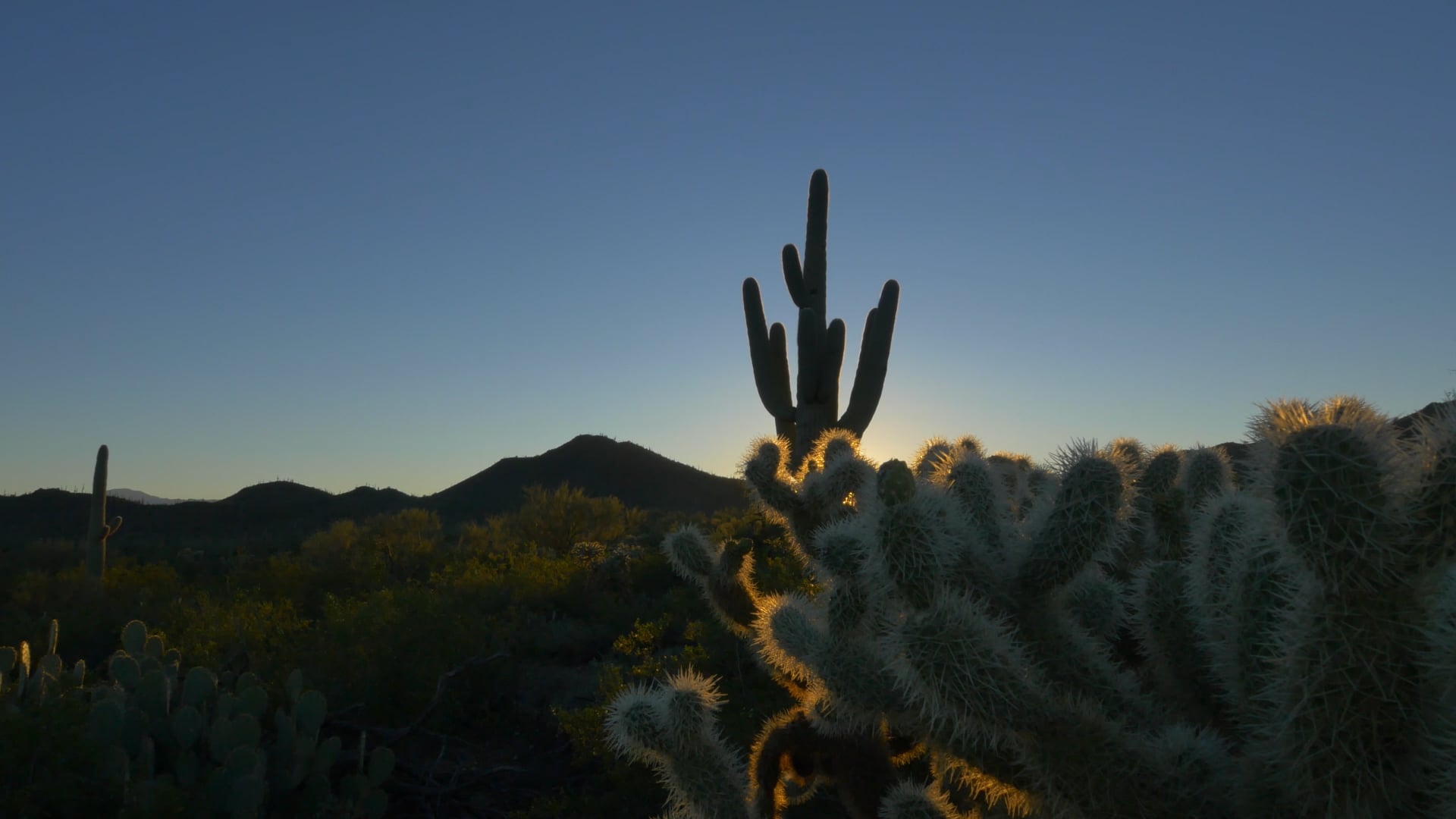 top-multifamily-investing-tips-from-experienced-commercial-real-estate