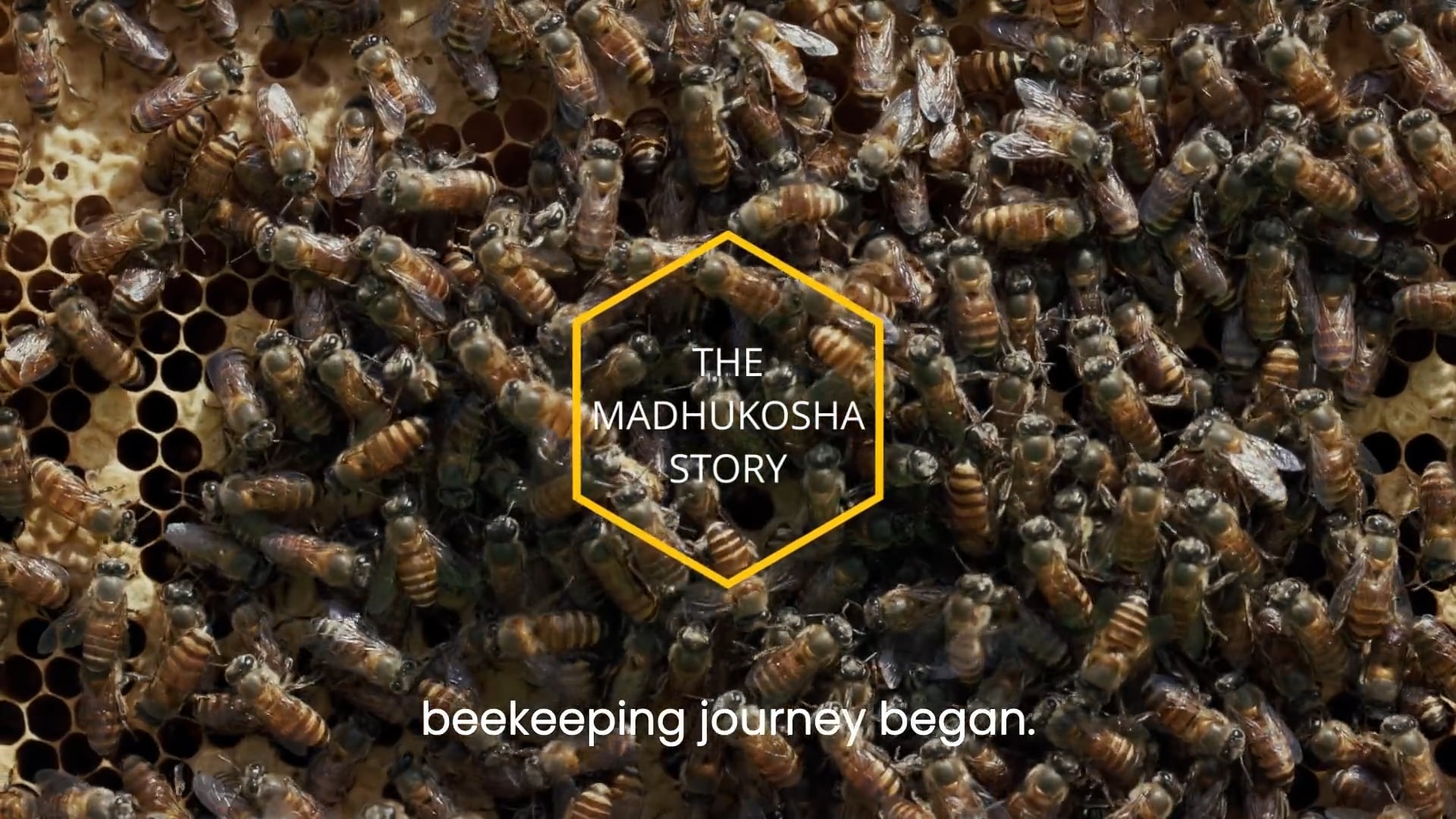 The Madhukosha Story