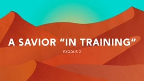 A Savior "in Training"