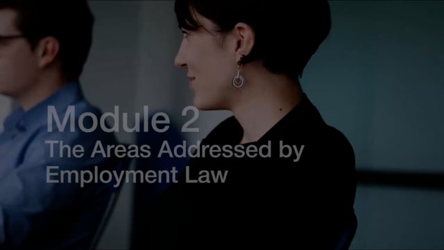 Module 02: The Areas Addressed by Employment Law - Video Thumbnail
