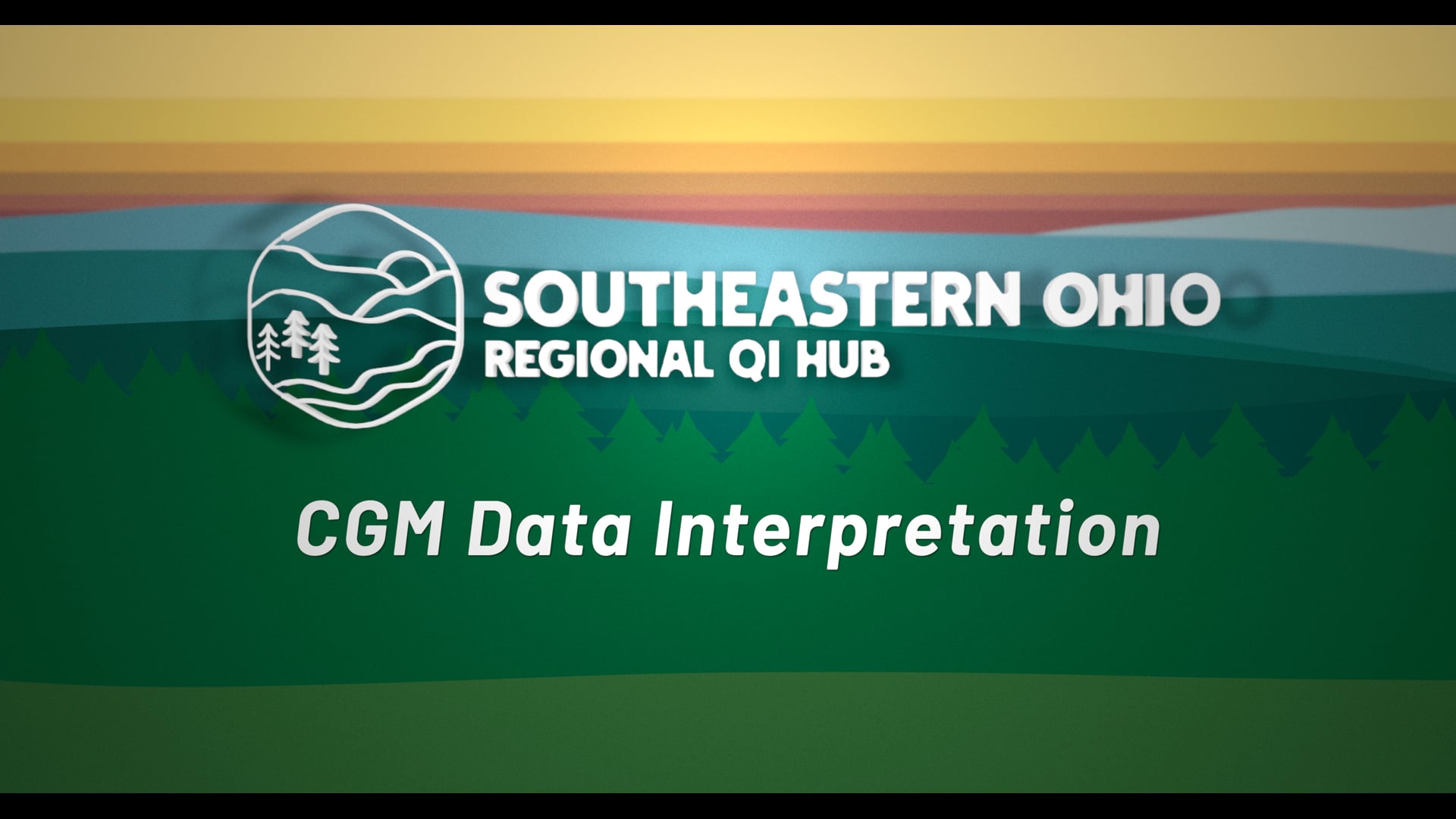 CGM Data Interpretation