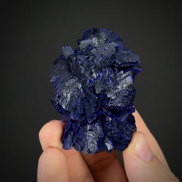 Floater Azurite rosettes (superb)