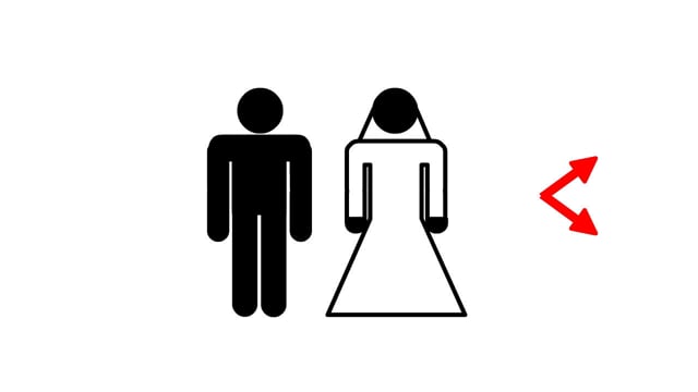 image du film 'Le diagramme du migrant'