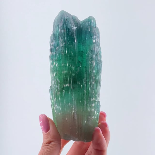 Tourmaline - GEM24-020 - Santa Rosa Mine - Brazil Mineral Specimen