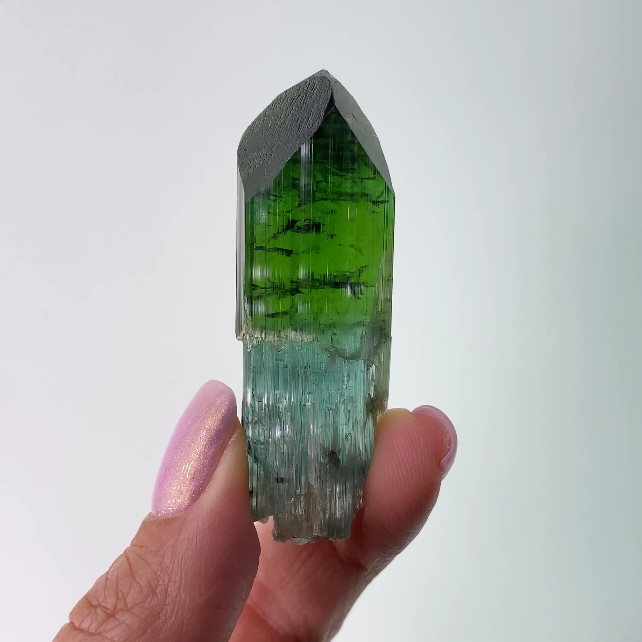 Stephen Smale: A Mathematician's Love for Minerals